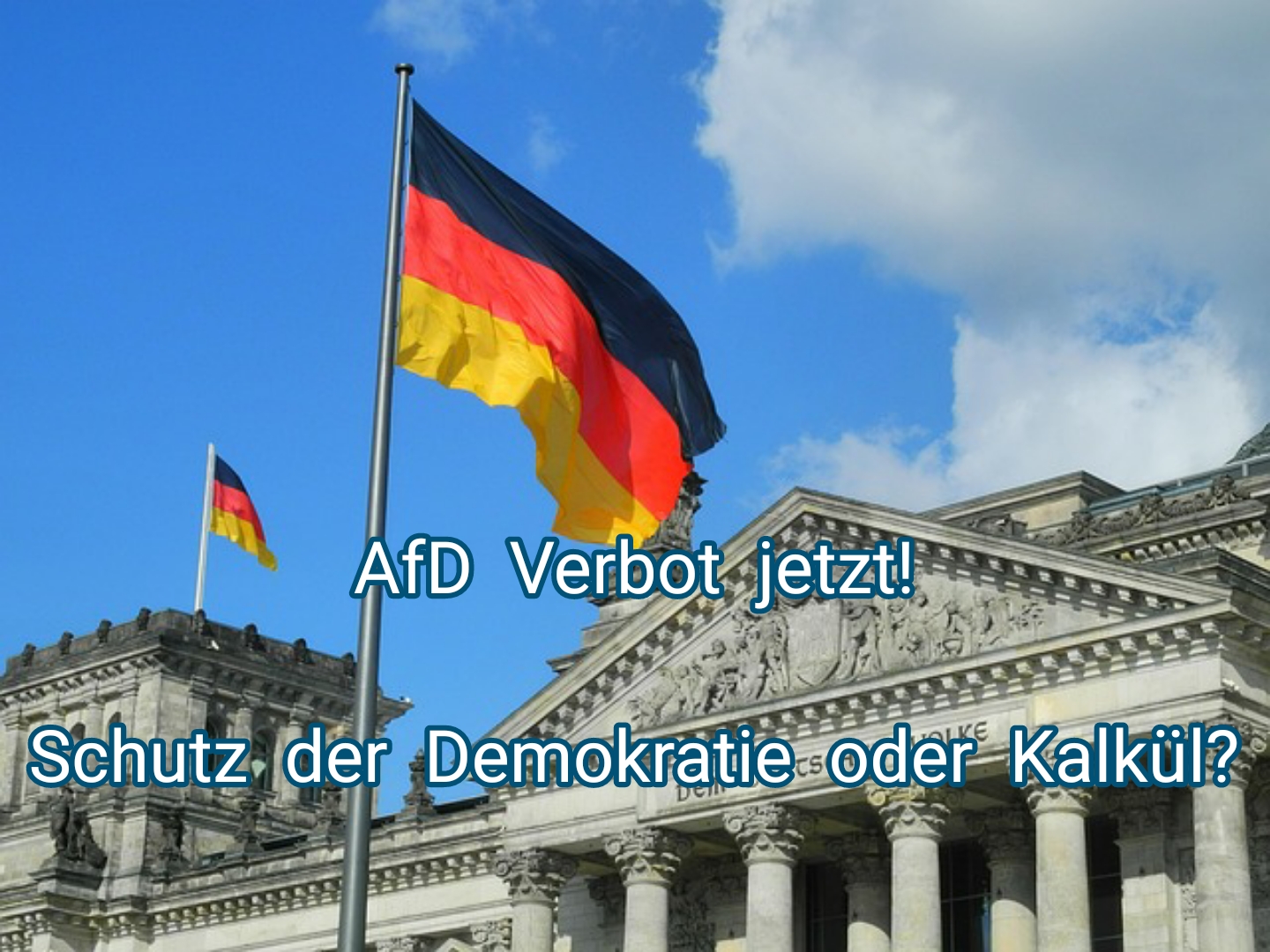 AfD Verbot jetzt!